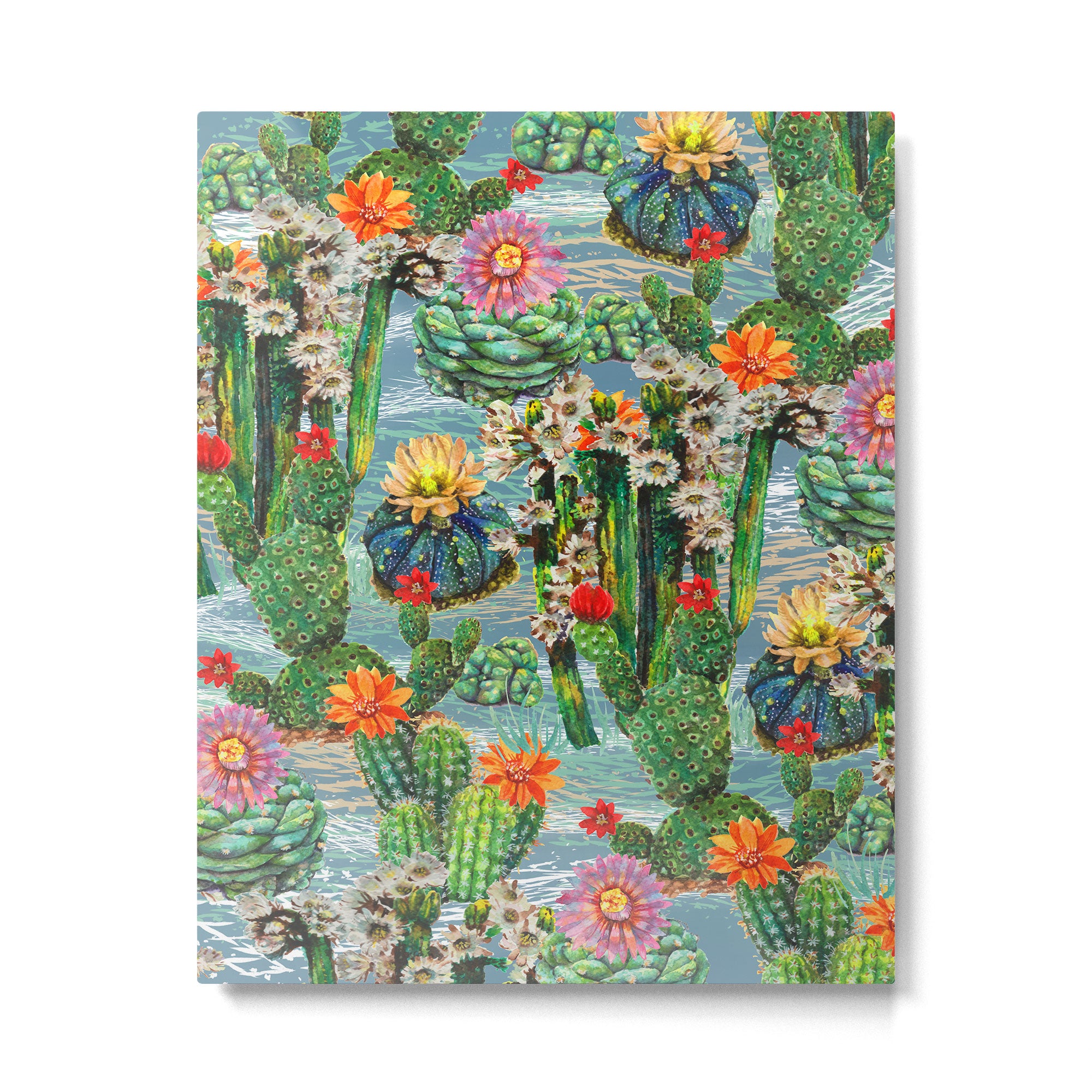 Cactus Desert - BBG Metal Print Gallery Image 4