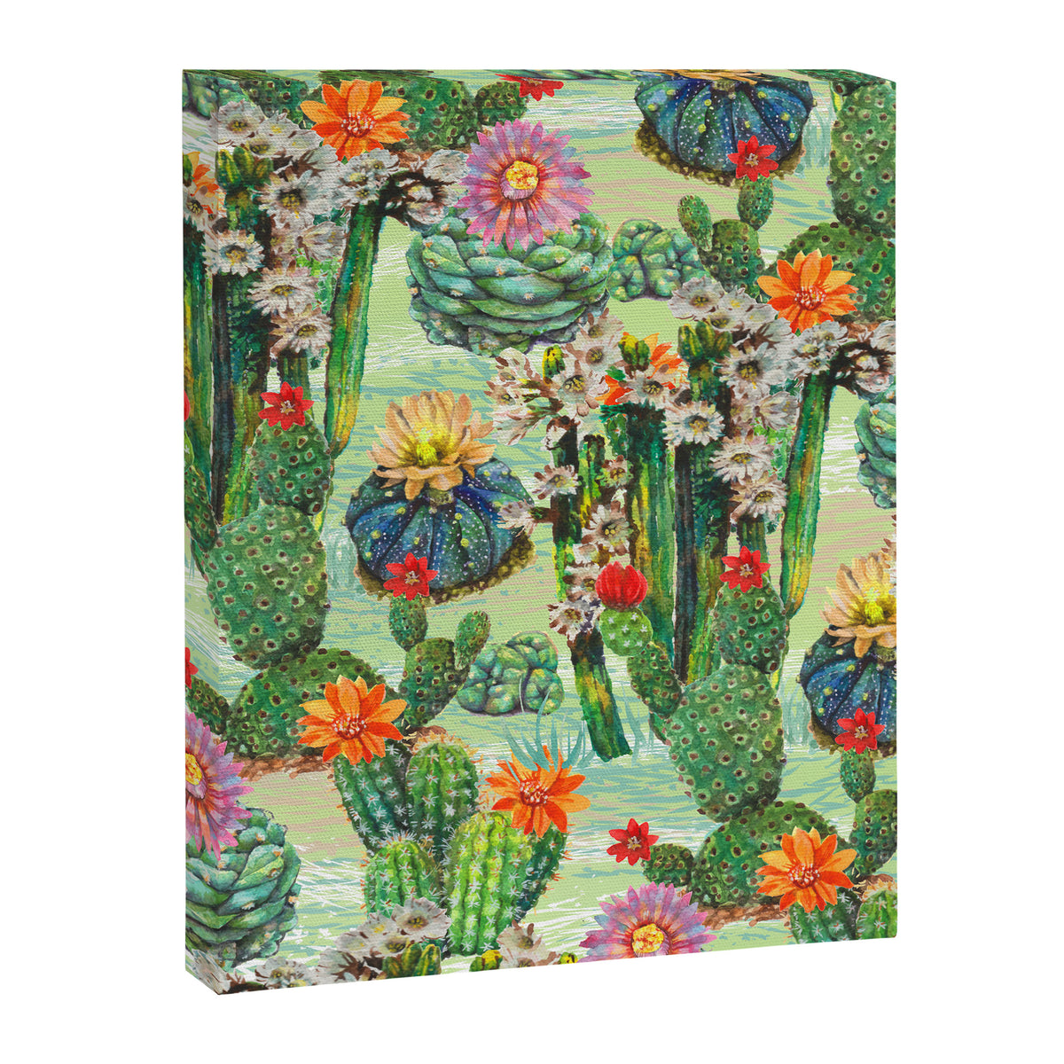 Cactus Desert - GBG Canvas Print Gallery Image 6