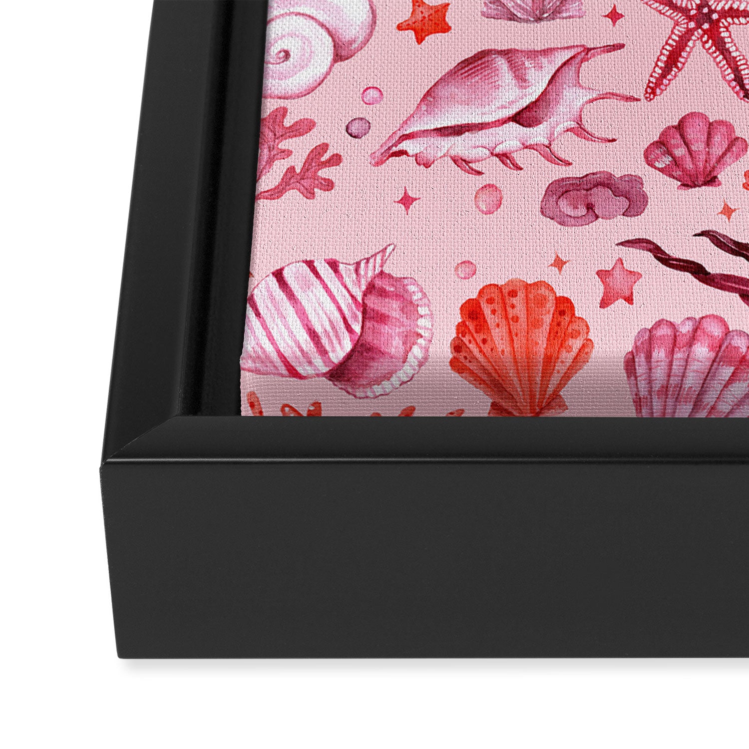Girly Seashells Party Framed Canvas Print Gallery Image 3