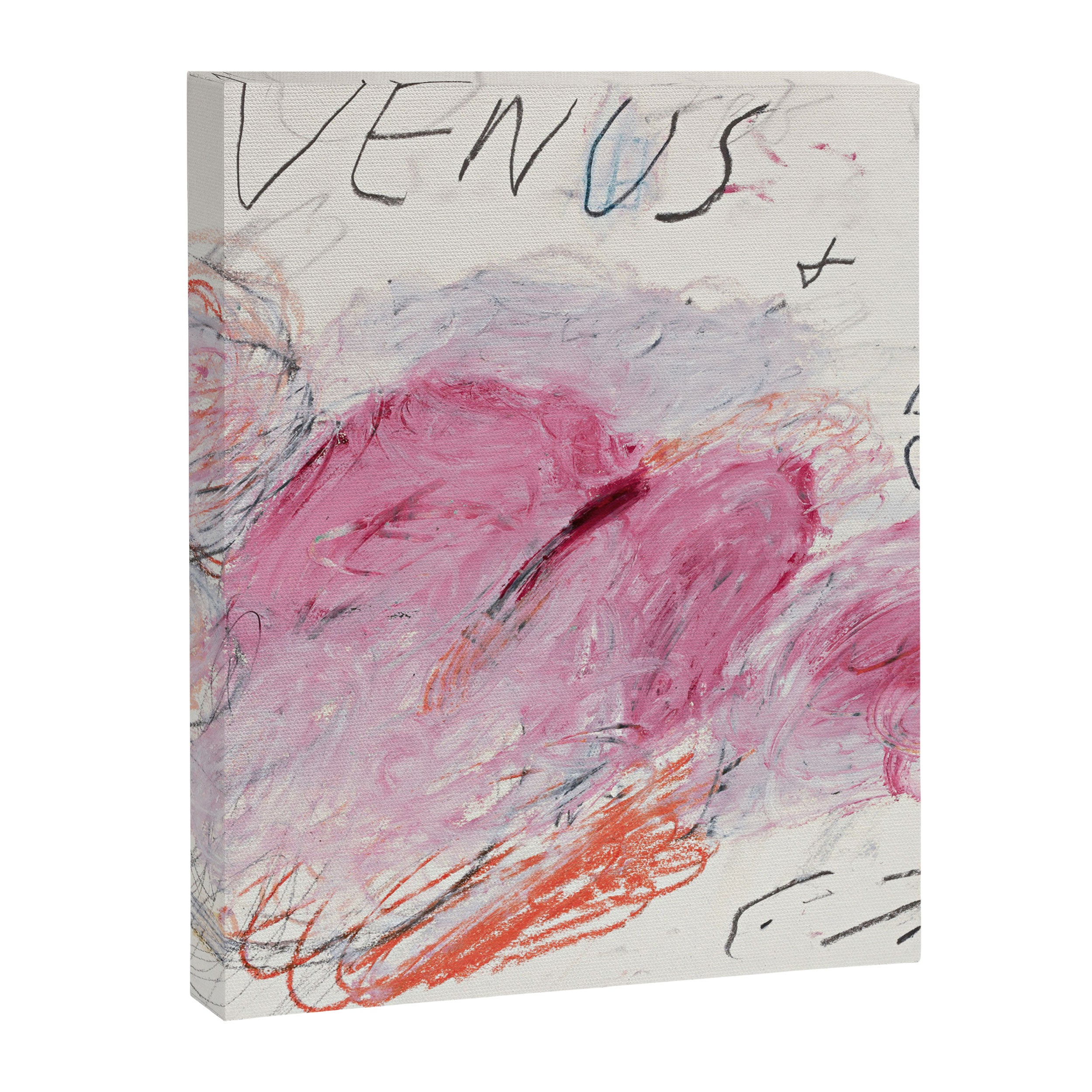 Cy Twombly Venus Adonis Canvas Print Gallery Image 8