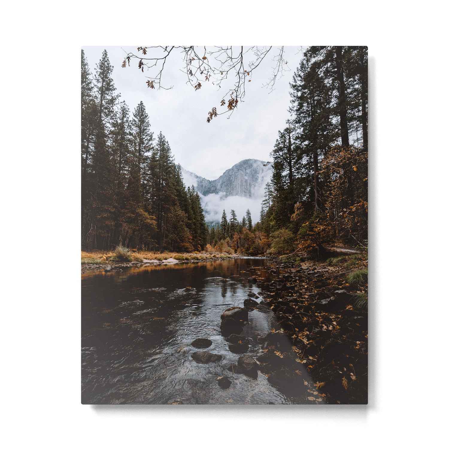 Autumn in Yosemite Metal Print Gallery Image 4