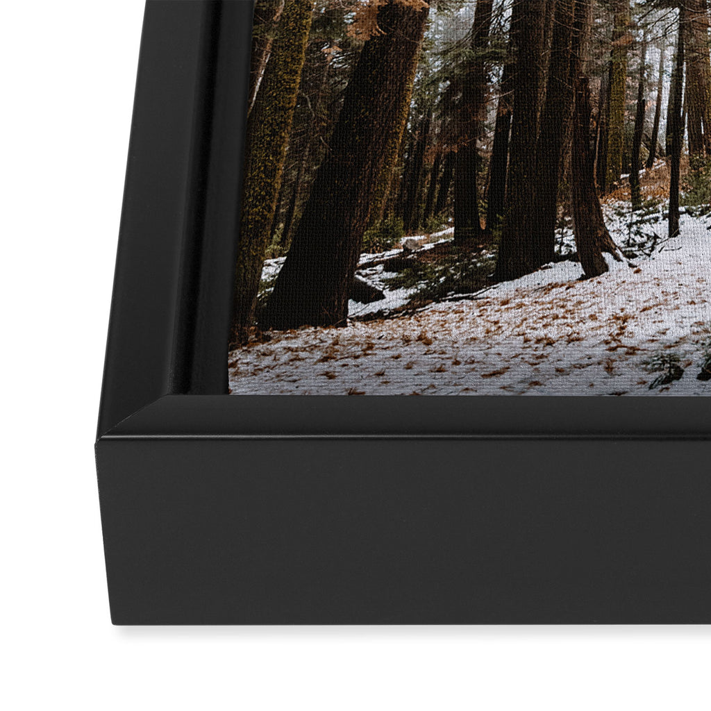 Cabin in the Woods Framed Canvas Print Gallery Image 3