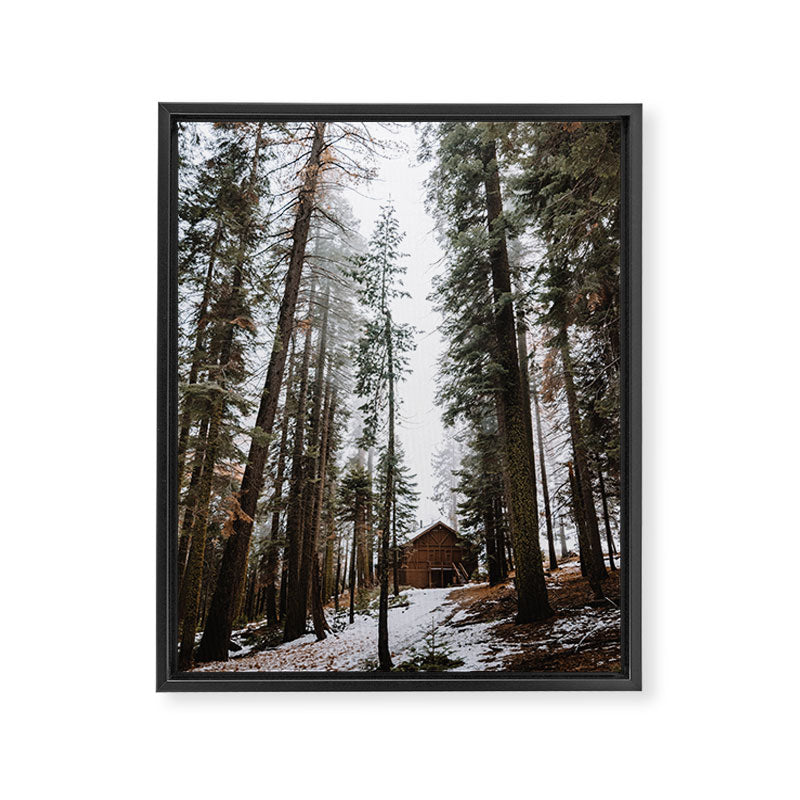 Cabin in the Woods Framed Canvas Print Gallery Image 6