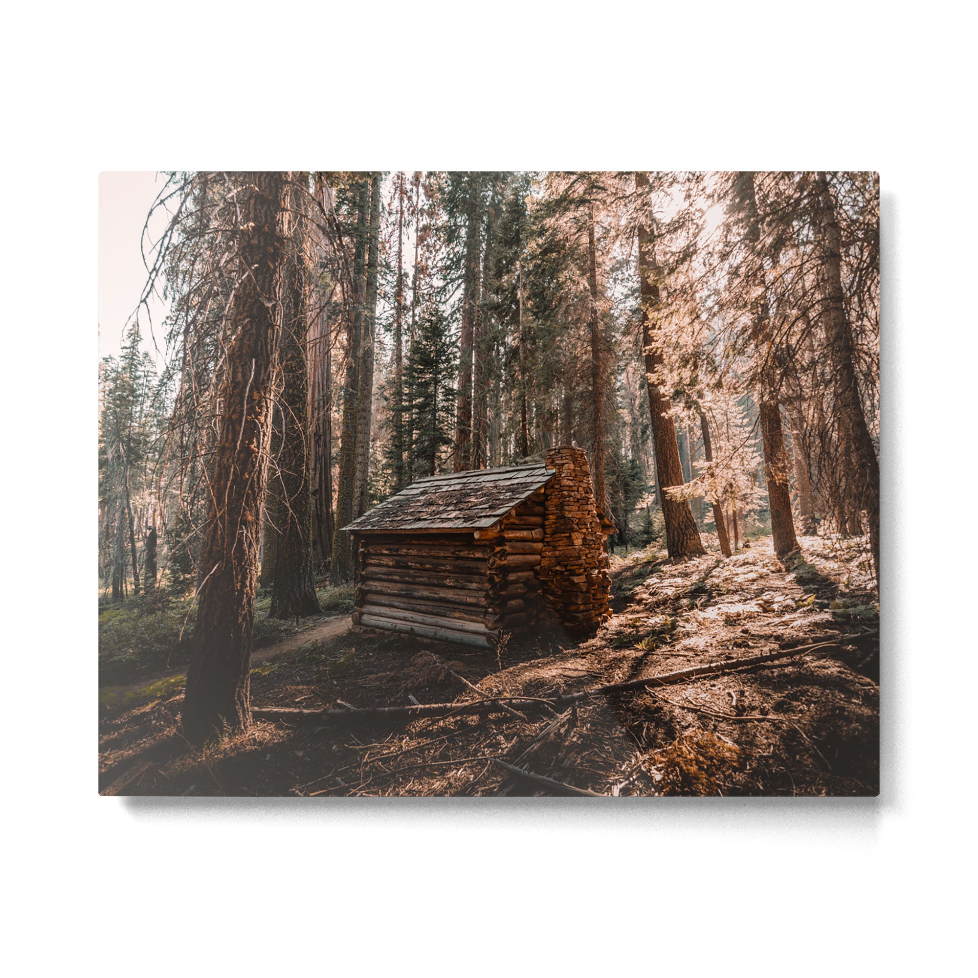 Log Cabin in the Forest Metal Print Gallery Image 4