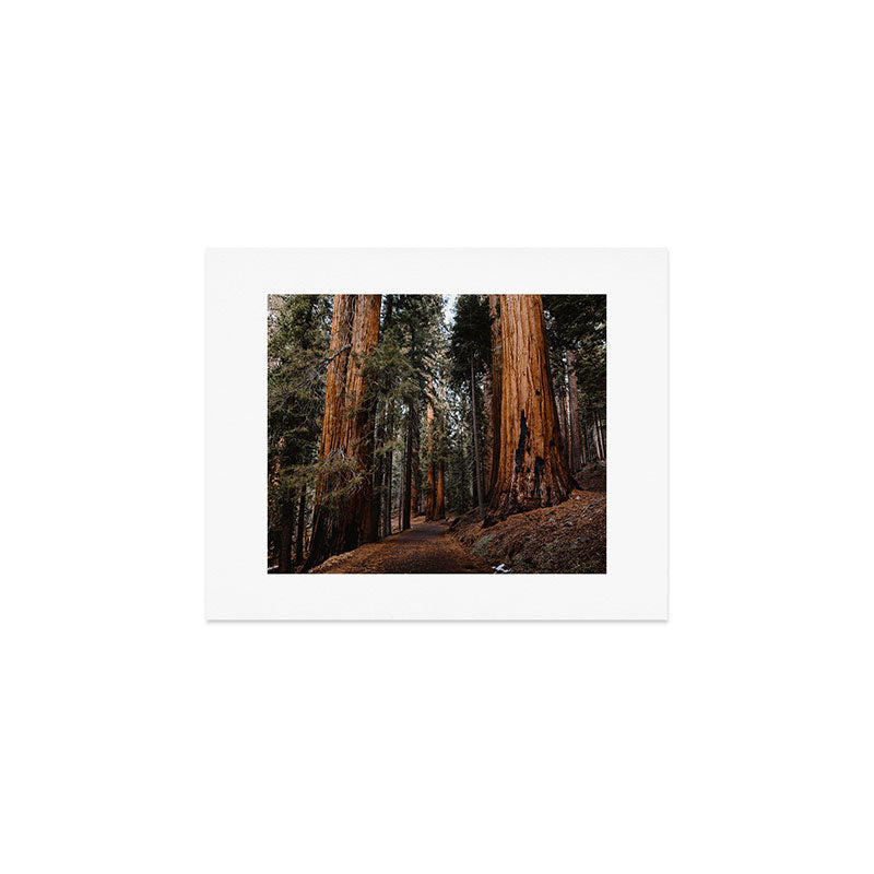 Walking Sequoia 2 Art Print Gallery Image 1
