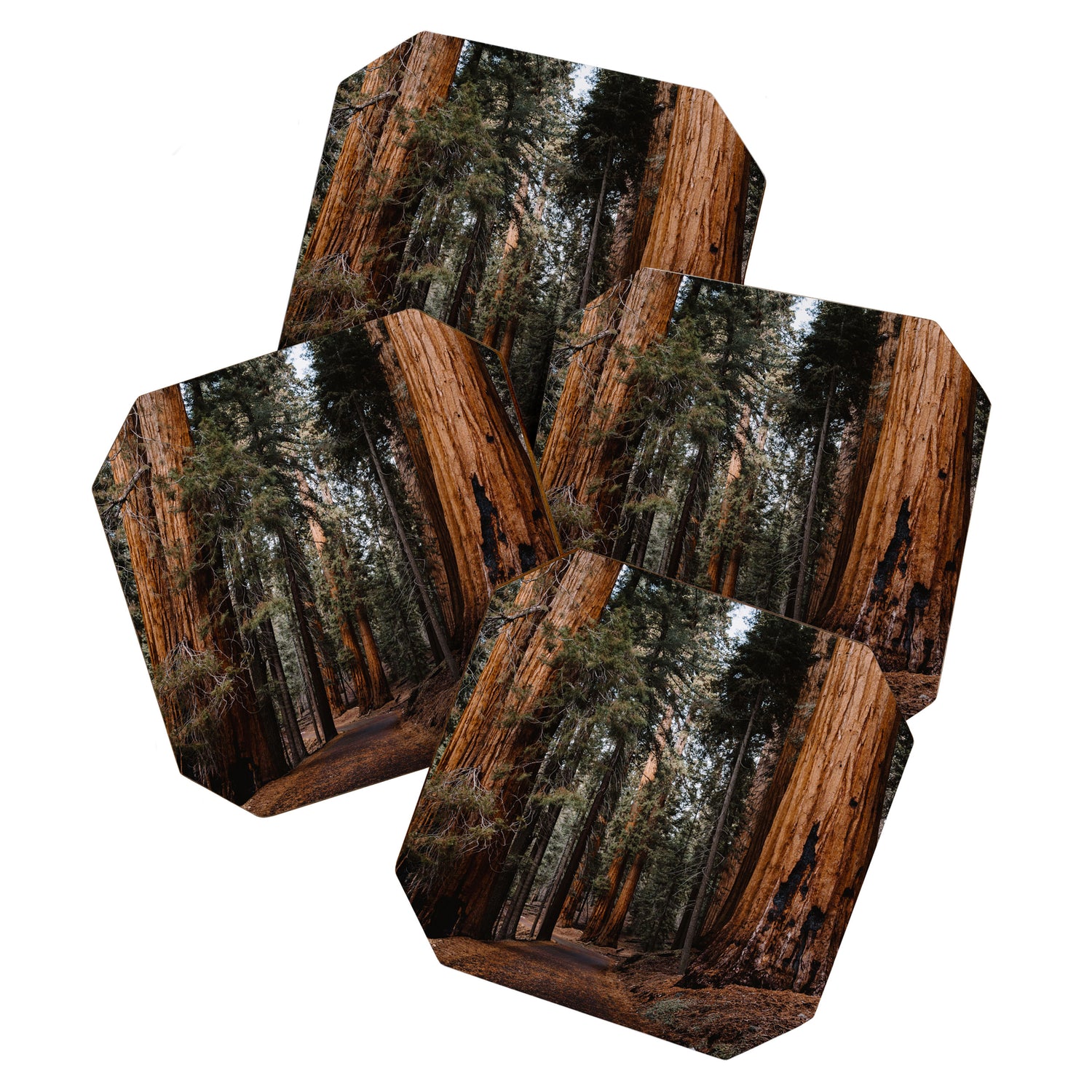 Walking Sequoia 2 Coaster Gallery Image 1
