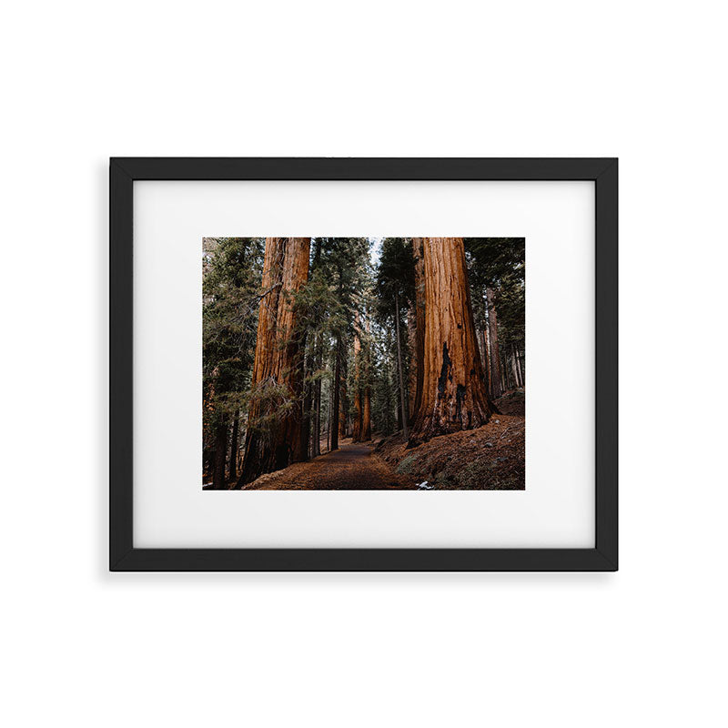 Walking Sequoia 2 Framed Art Print Gallery Image 5