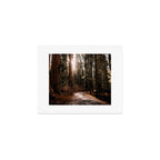 Walking Sequoia 4 Art Print Gallery Image 1