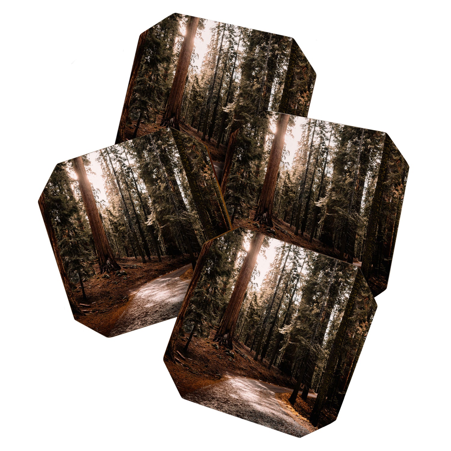 Walking Sequoia 4 Coaster Gallery Image 1