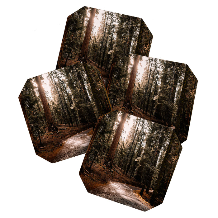 Walking Sequoia 4 Coaster Gallery Image 1