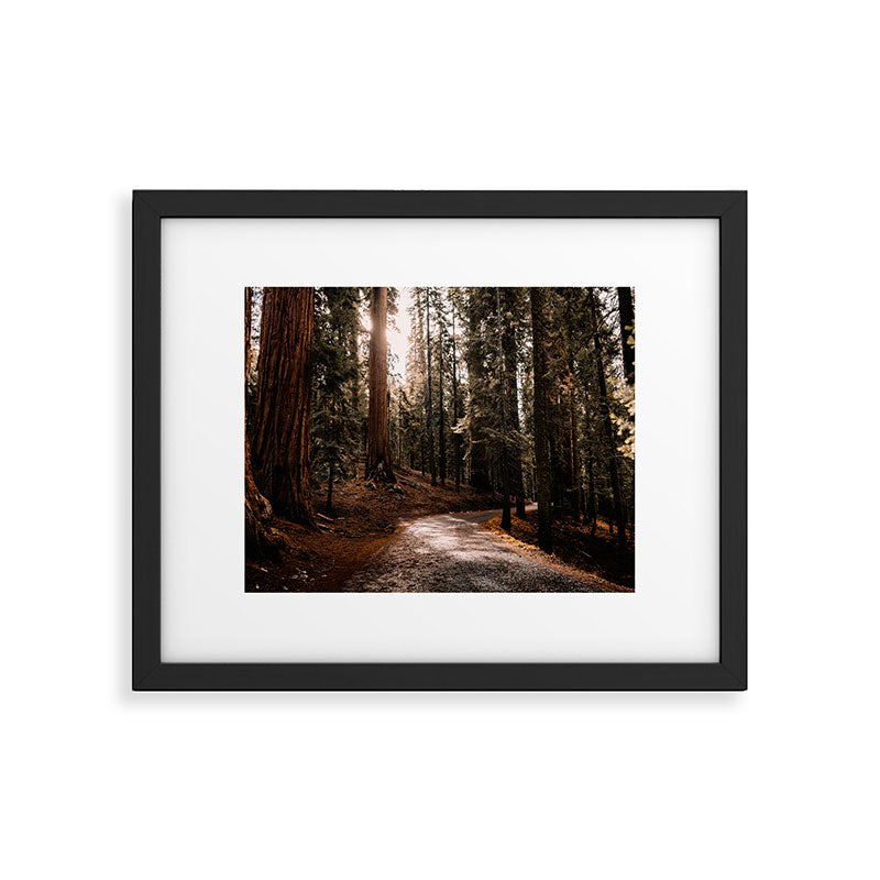 Walking Sequoia 4 Framed Art Print Gallery Image 5