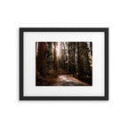 Walking Sequoia 4 Framed Art Print Gallery Image 5
