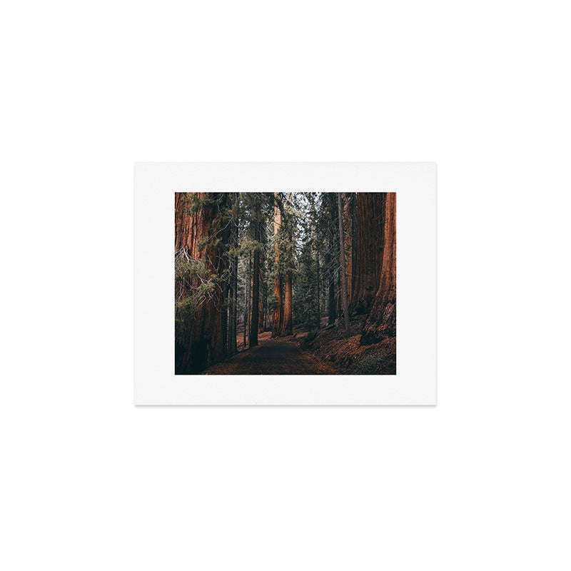 Walking Sequoia Art Print Gallery Image 1