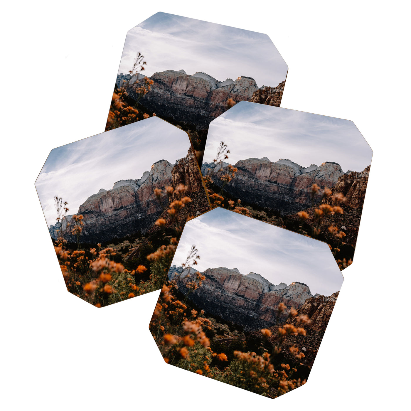 Zion Canyon through the Flora Coaster