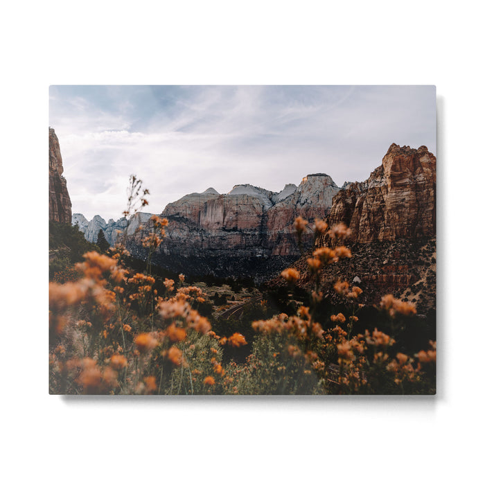 Zion Canyon through the Flora Metal Print Gallery Image 1