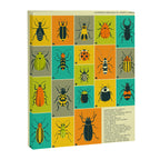 COMMON BEETLES OF NORTH AMERICA Canvas Print Gallery Image 6