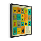 COMMON BEETLES OF NORTH AMERICA Framed Canvas Print Gallery Image 2