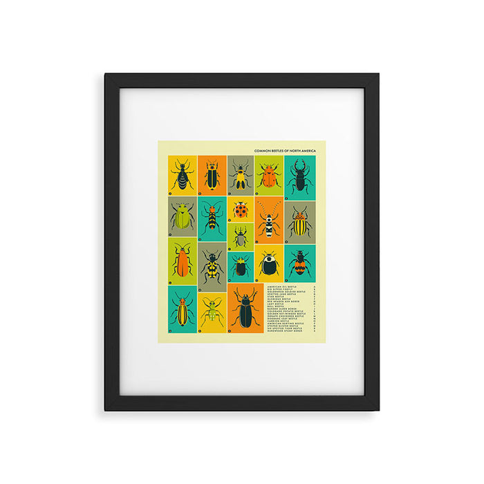 COMMON BEETLES OF NORTH AMERICA Framed Art Print Gallery Image 1