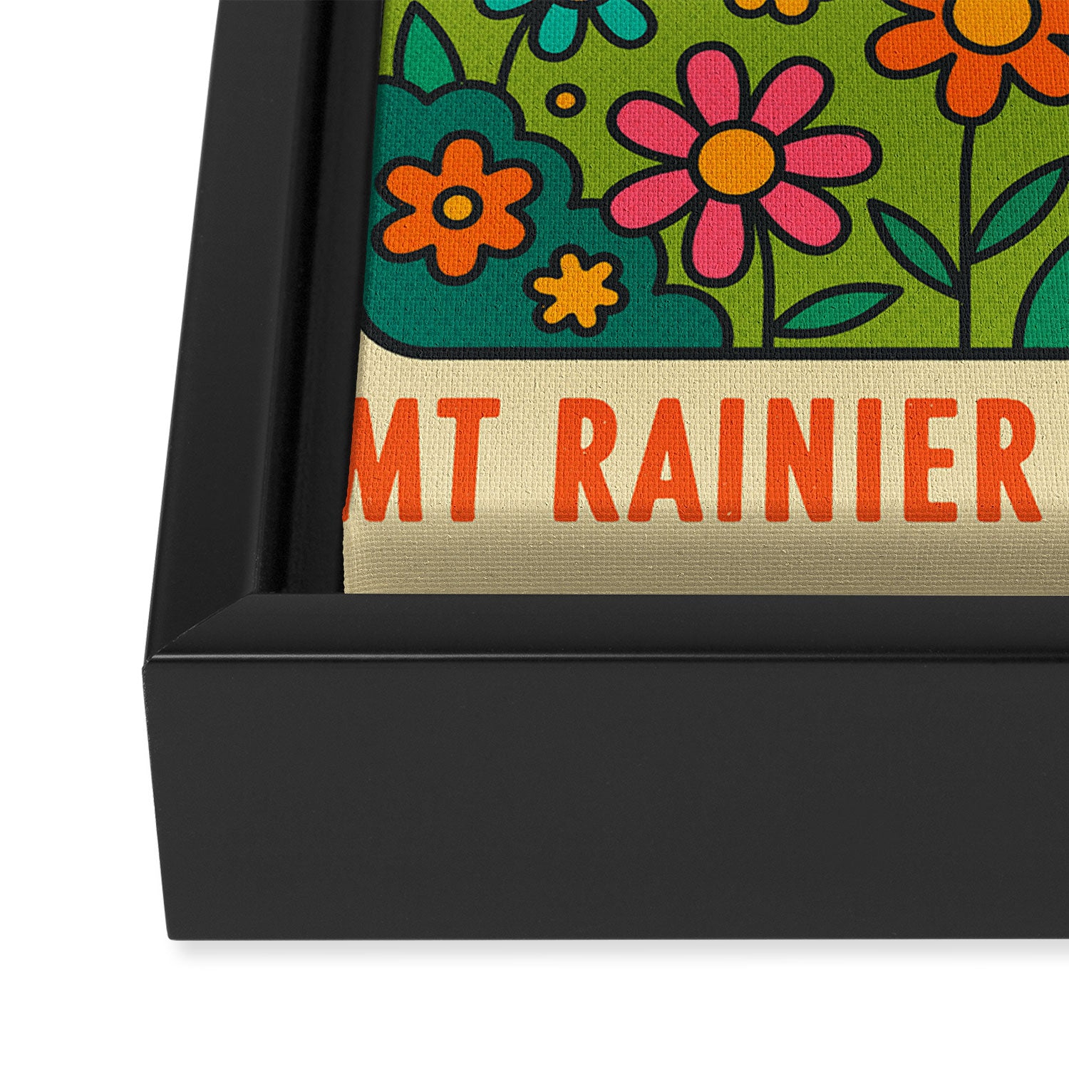 Mt Rainier National Park Framed Canvas Print Gallery Image 3