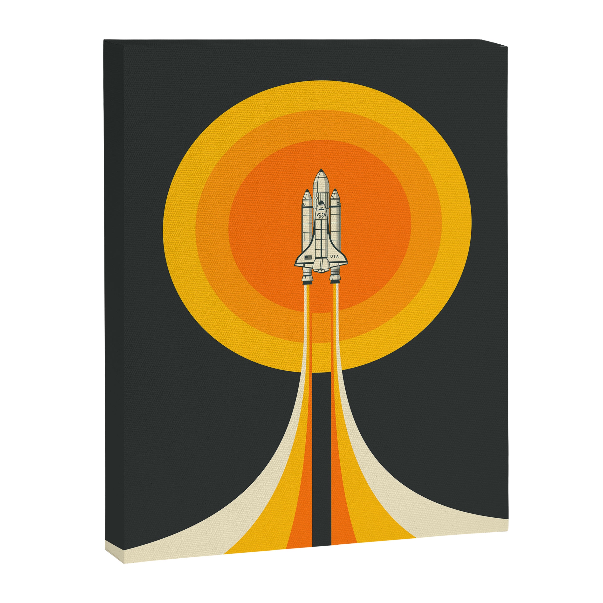 The Space Shuttle Canvas Print Gallery Image 6