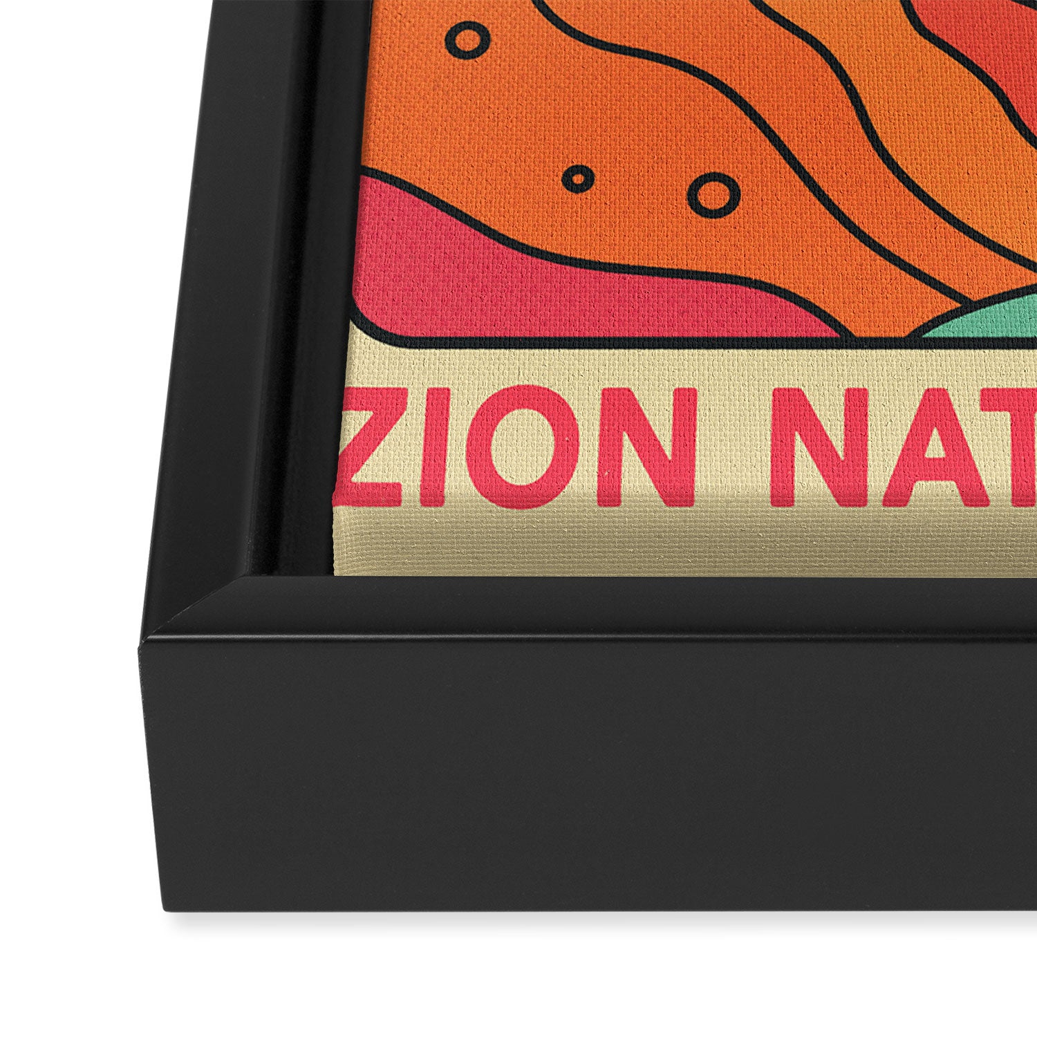 Zion National Park Framed Canvas Print Gallery Image 3
