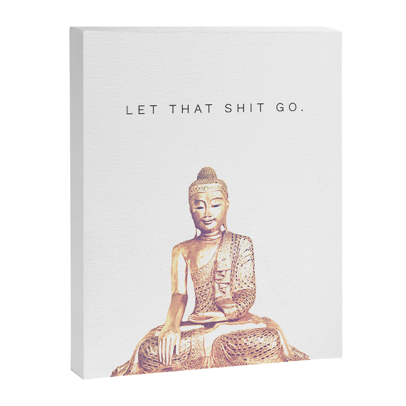 Let That Shit Go Canvas Print
