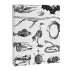 Animal Bones Canvas Print Gallery Image 6