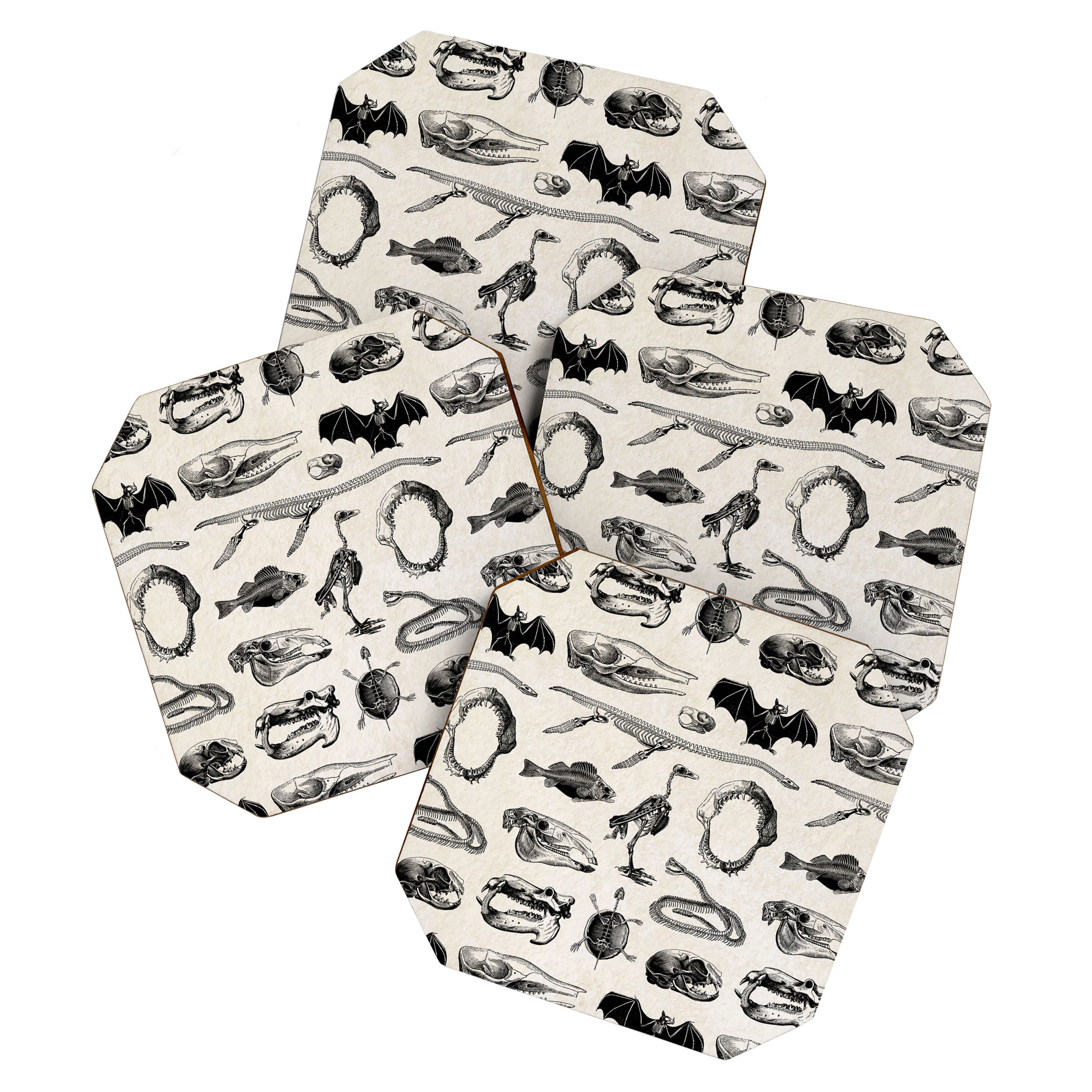 Animal Bones Coaster Gallery Image 1