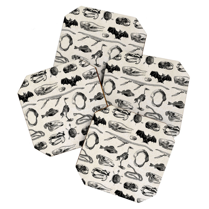 Animal Bones Coaster Gallery Image 1