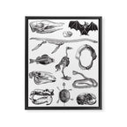 Animal Bones Framed Canvas Print Gallery Image 6