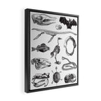 Animal Bones Framed Canvas Print Gallery Image 2