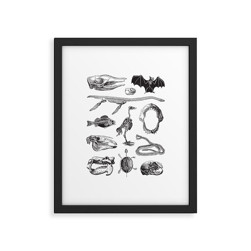 Animal Bones Framed Art Print Gallery Image 5