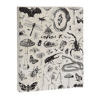 Bones, Bugs, Botanicals Canvas Print Gallery Image 6