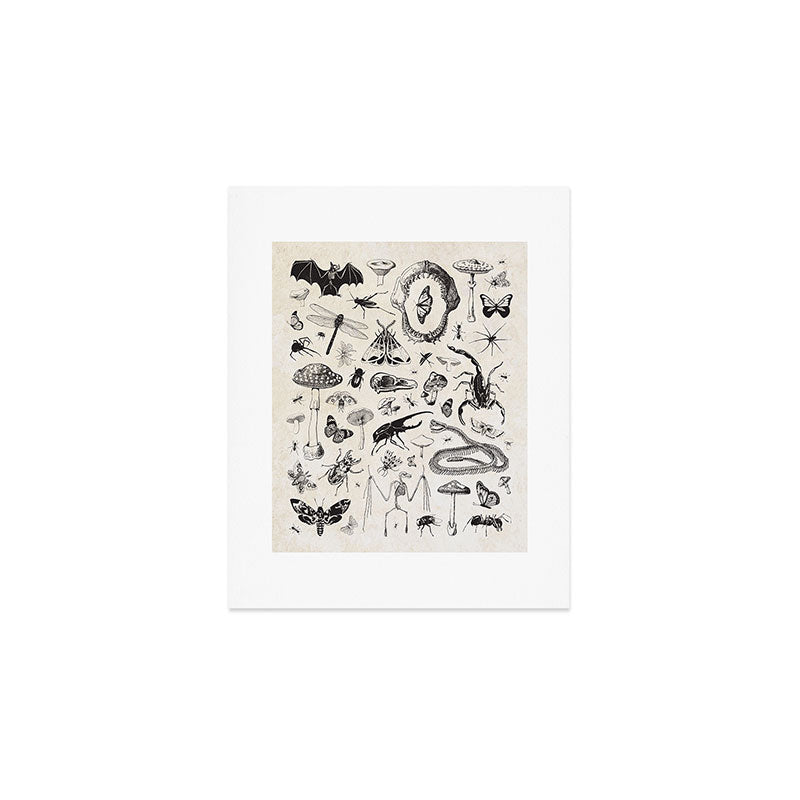 Bones, Bugs, Botanicals Art Print Gallery Image 1