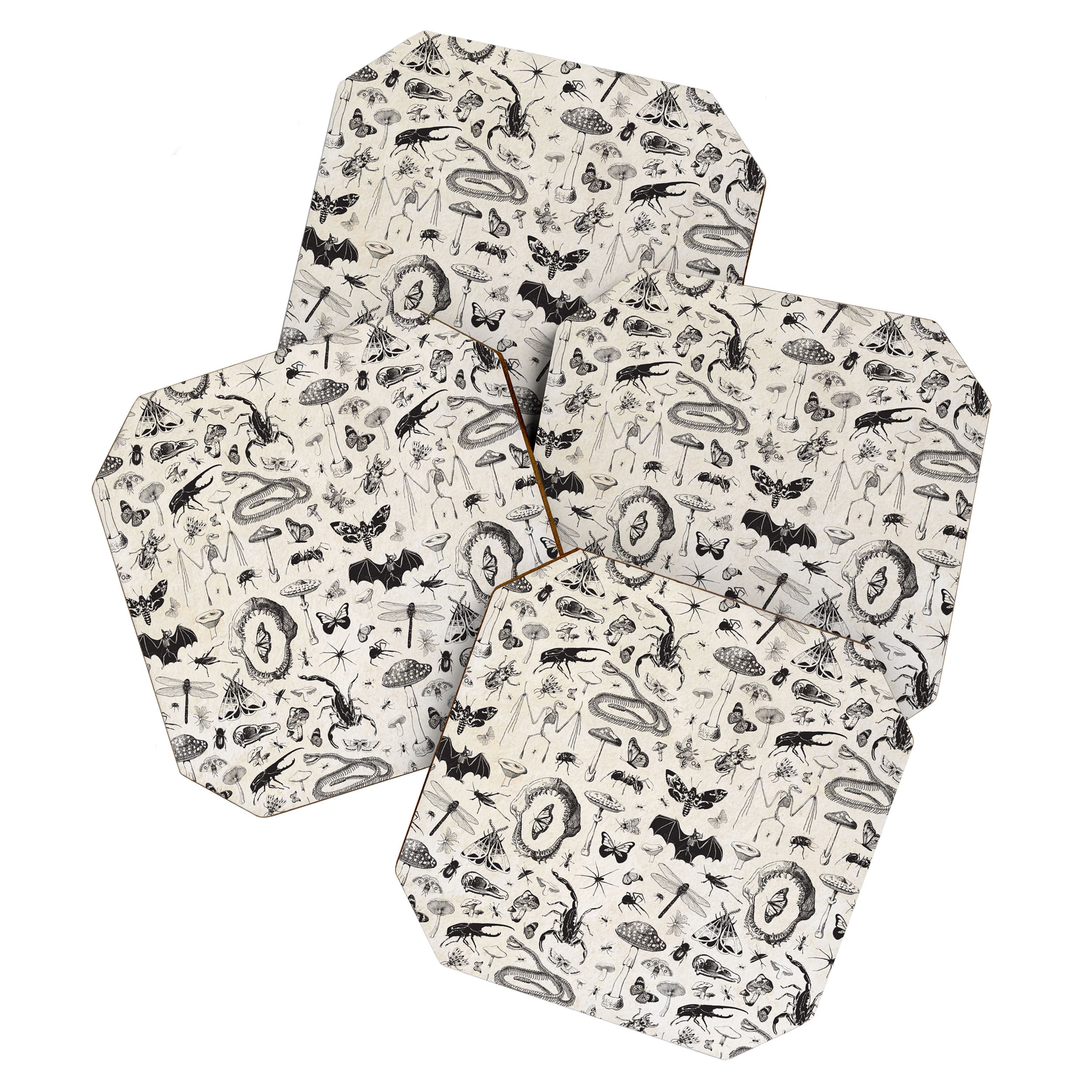 Bones, Bugs, Botanicals Coaster Gallery Image 1