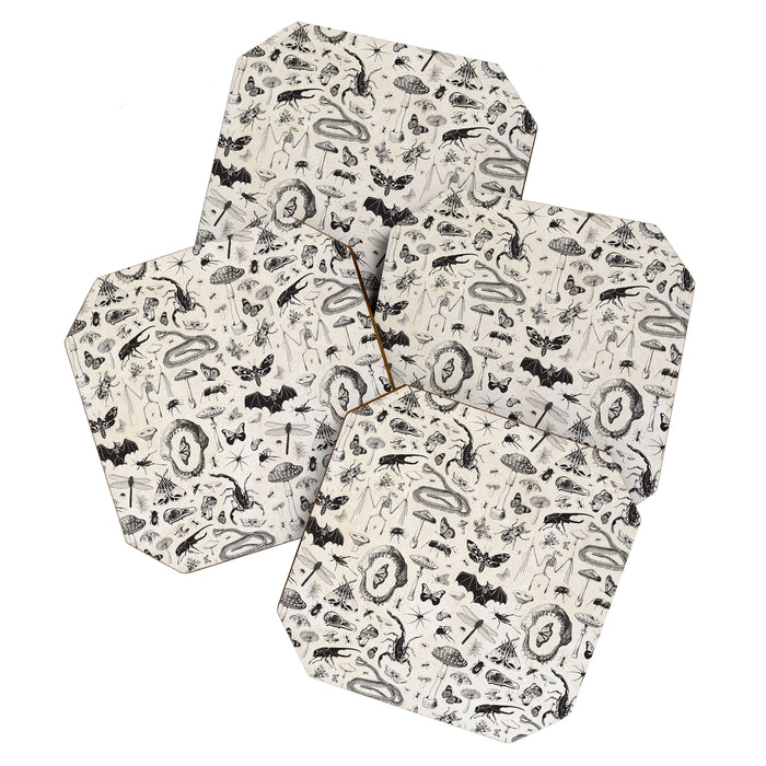 Bones, Bugs, Botanicals Coaster Gallery Image 1