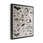 Bones, Bugs, Botanicals Framed Canvas Print Gallery Image 2