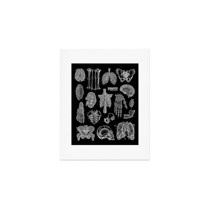 Human Anatomy Black & White Art Print Gallery Image 1