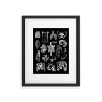 Human Anatomy Black & White Framed Art Print Gallery Image 5