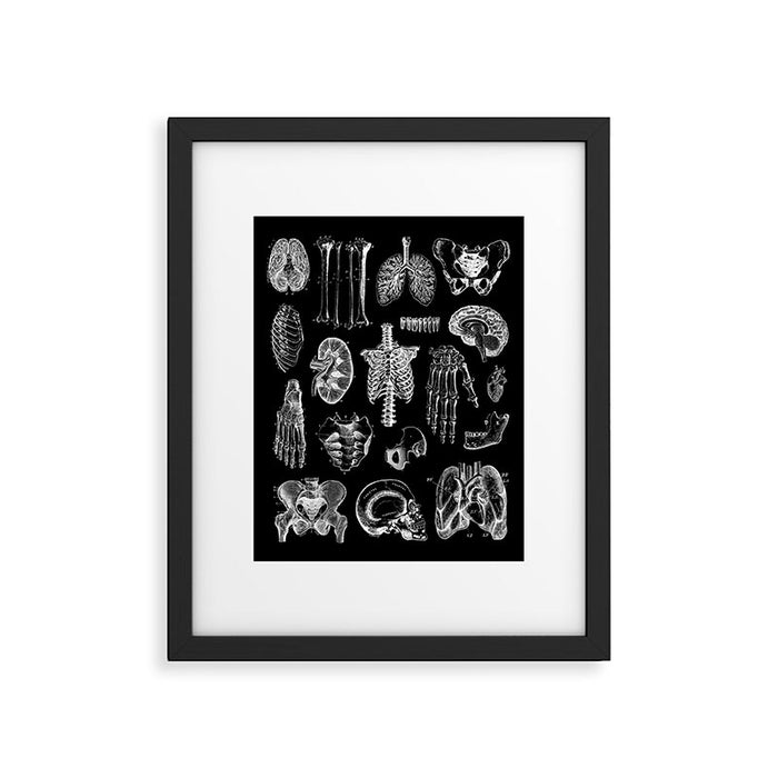 Human Anatomy Black & White Framed Art Print Gallery Image 1
