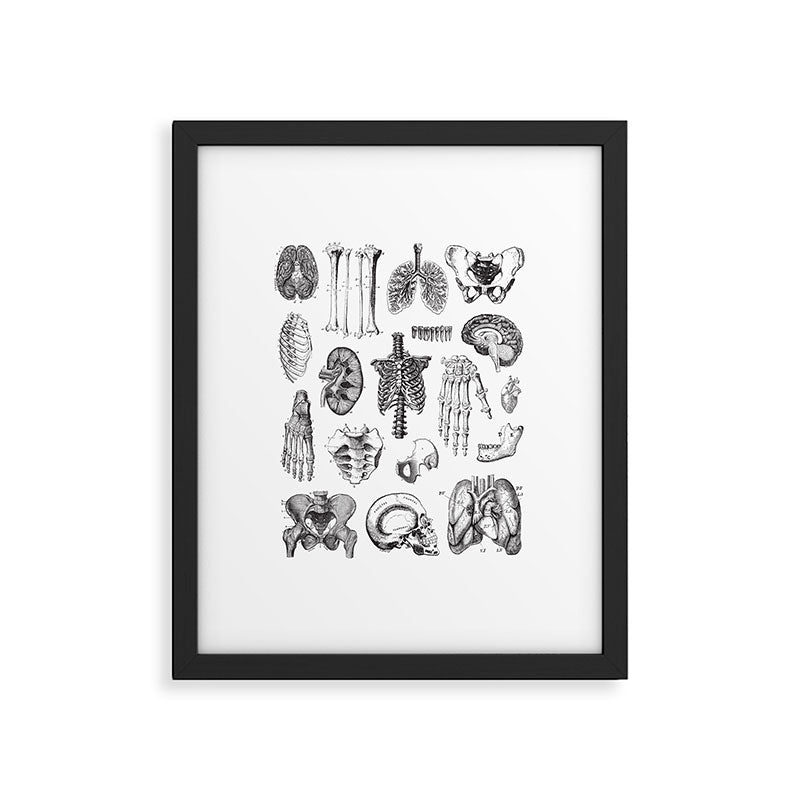 Human Anatomy Framed Art Print Gallery Image 5