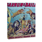 1910 Barnum & Bailey Circus Dancing Lions - M'lle Adgi's Acting Vintage Poster Canvas Print Gallery Image 6