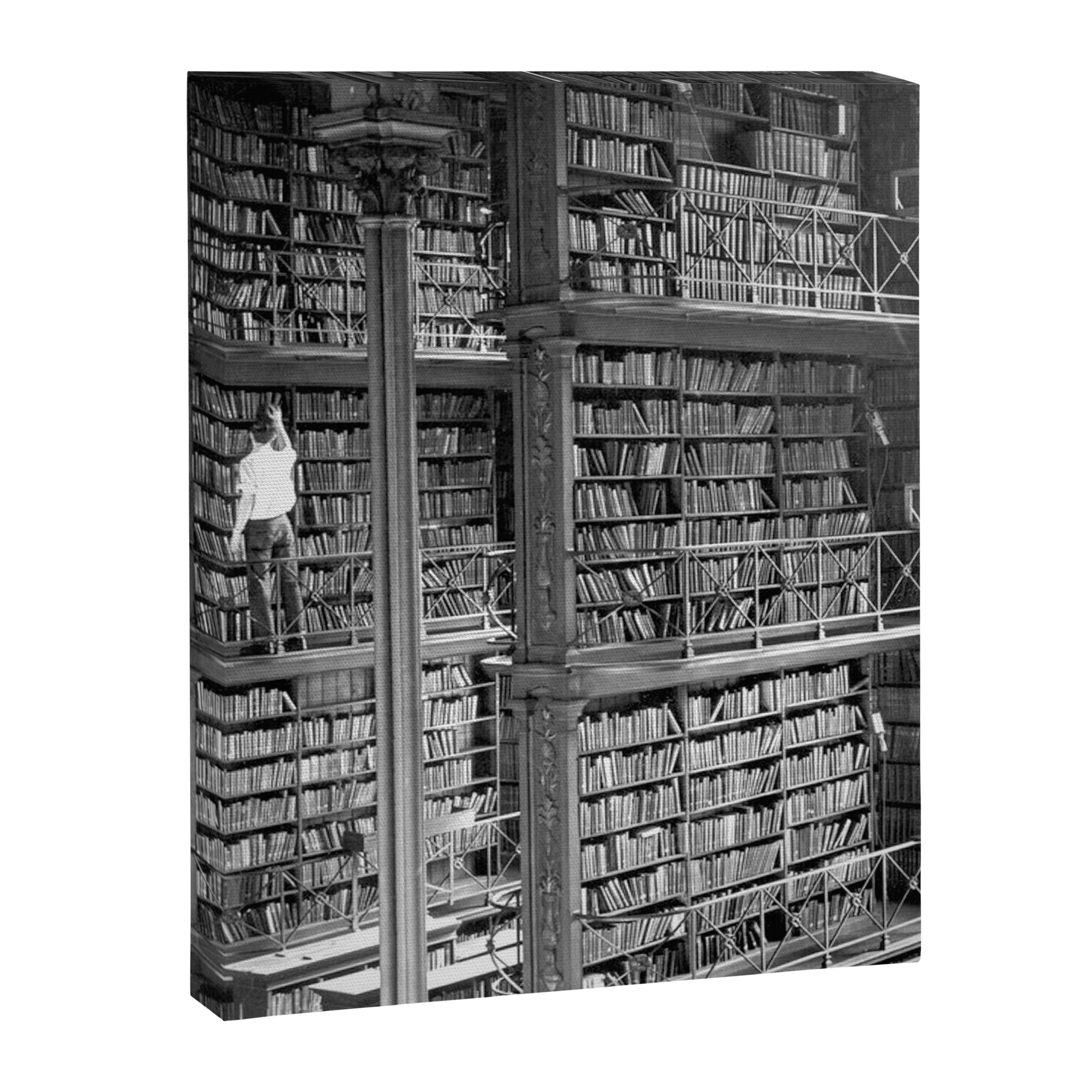 A book lovers dream - Cast-iron Book Alcoves Cincinnati Library black and white photography Canvas Print Gallery Image 3