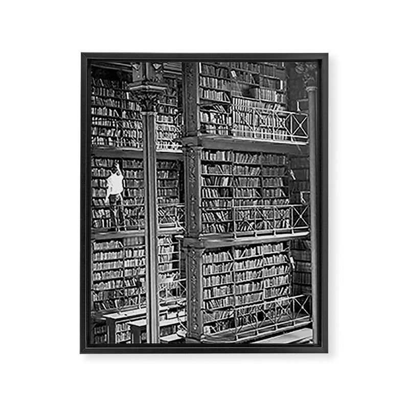 A book lovers dream - Cast-iron Book Alcoves Cincinnati Library black and white photography Framed Canvas Print Gallery Image 3