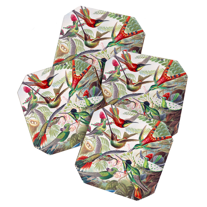 Beautiful colorful Hummingbirds from Art Forms of Nature (1904) landscape painting by Ernst Haeckel Coaster Gallery Image 1