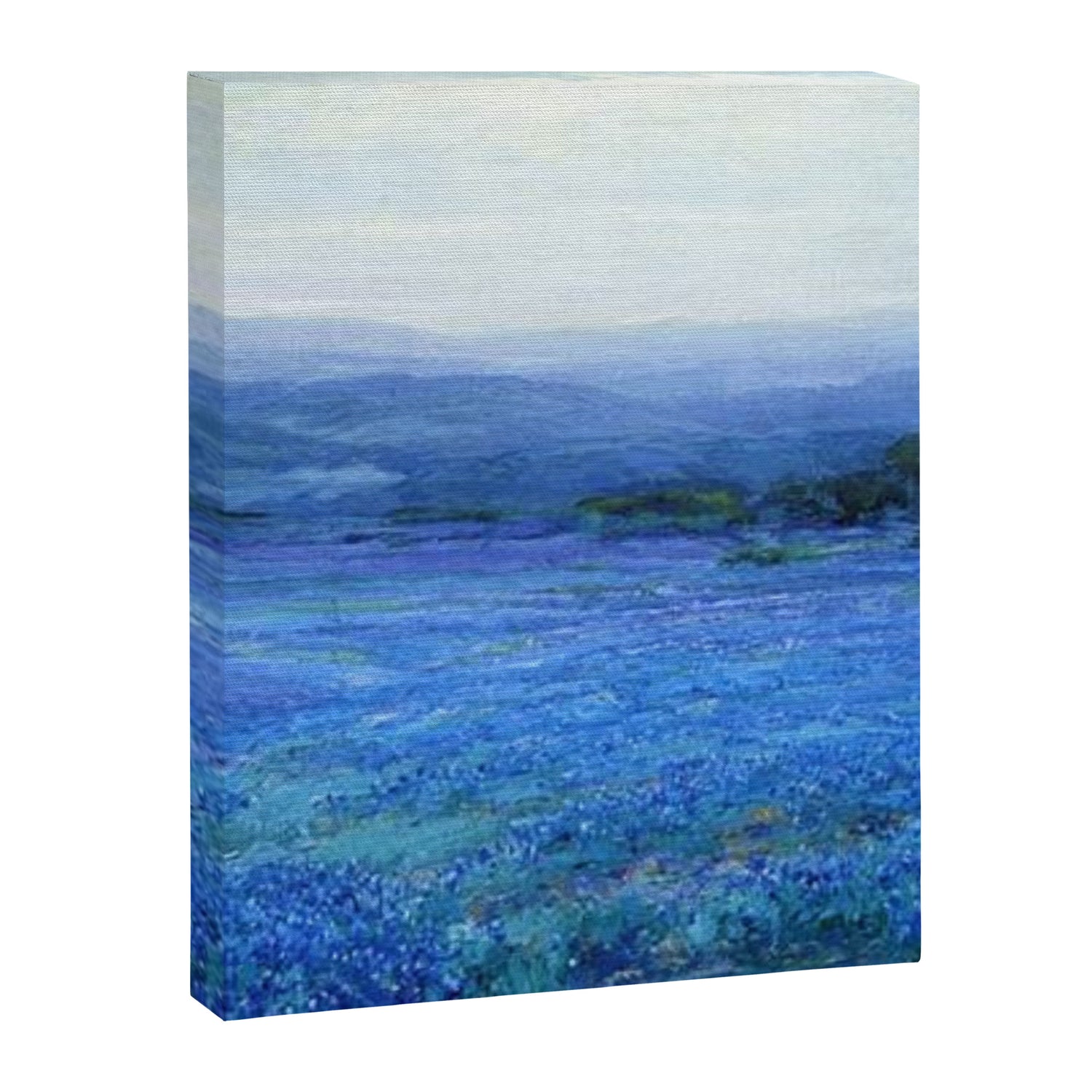 Bluebonnet Panoramic Landscape in Twilight painting by Robert Julian Onderdonk Canvas Print Gallery Image 3