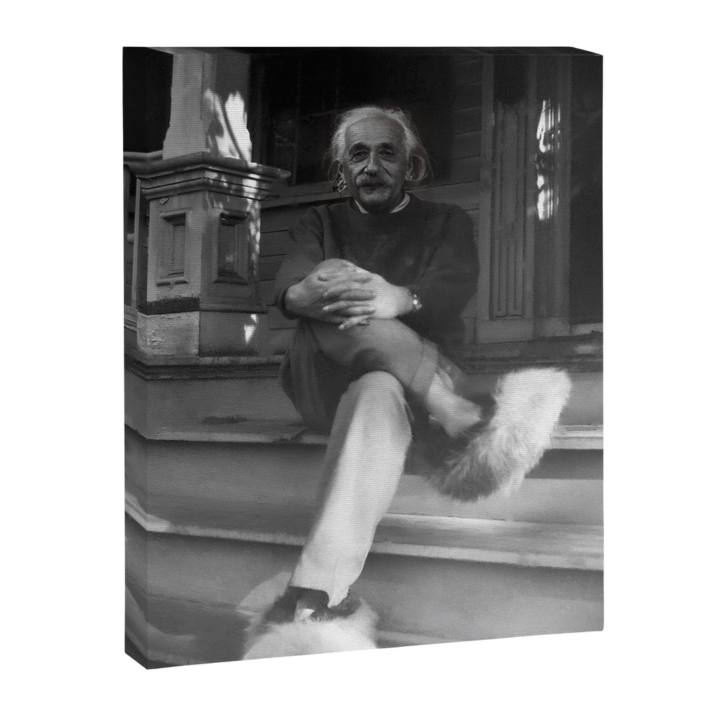 Funny Einstein in Fuzzy Slippers Classic Black and White Satirical Photography - Photographs Canvas Print Gallery Image 8