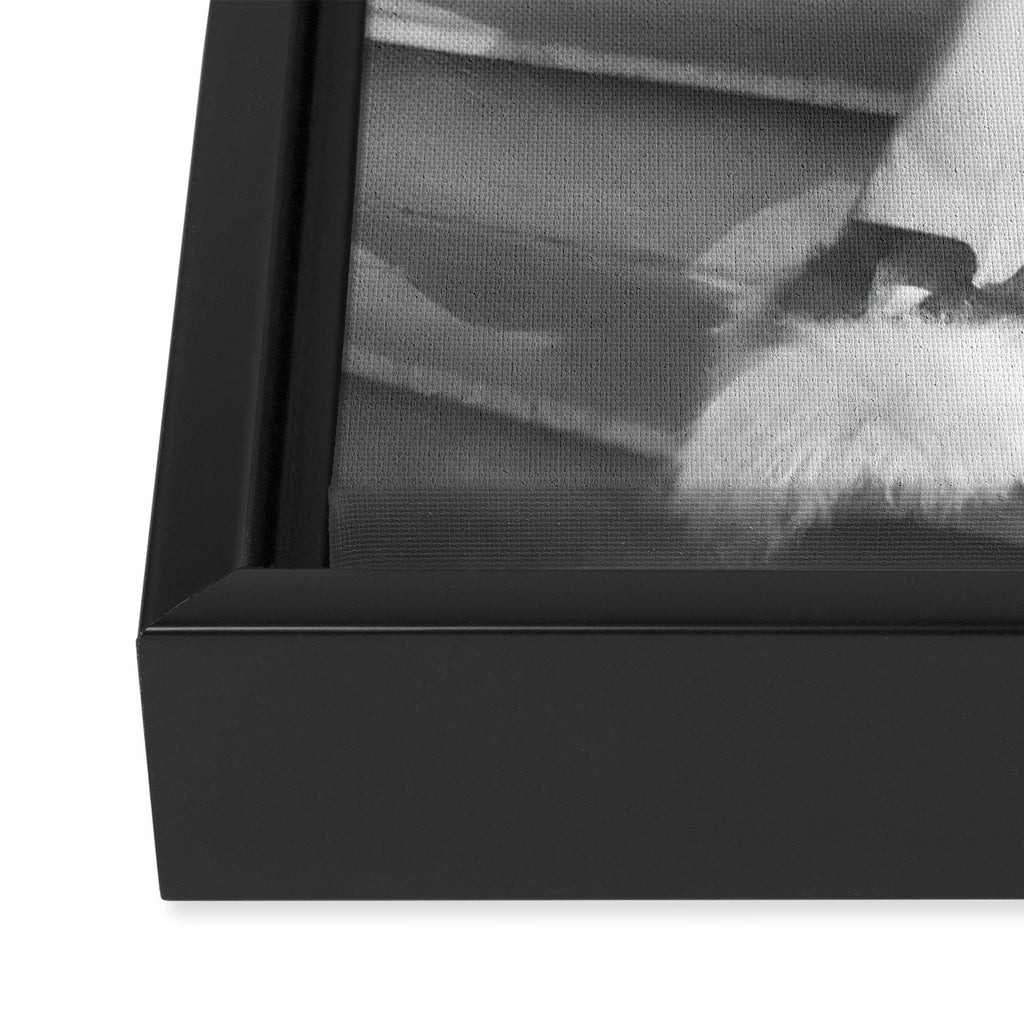 Funny Einstein in Fuzzy Slippers Classic Black and White Satirical Photography - Photographs Framed Canvas Print Gallery Image 3