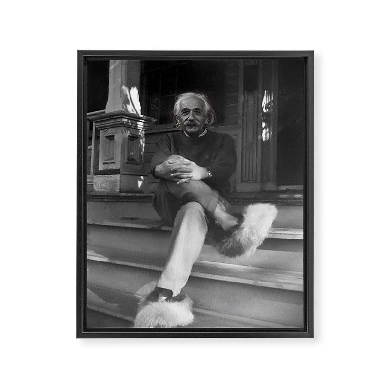 Funny Einstein in Fuzzy Slippers Classic Black and White Satirical Photography - Photographs Framed Canvas Print Gallery Image 8