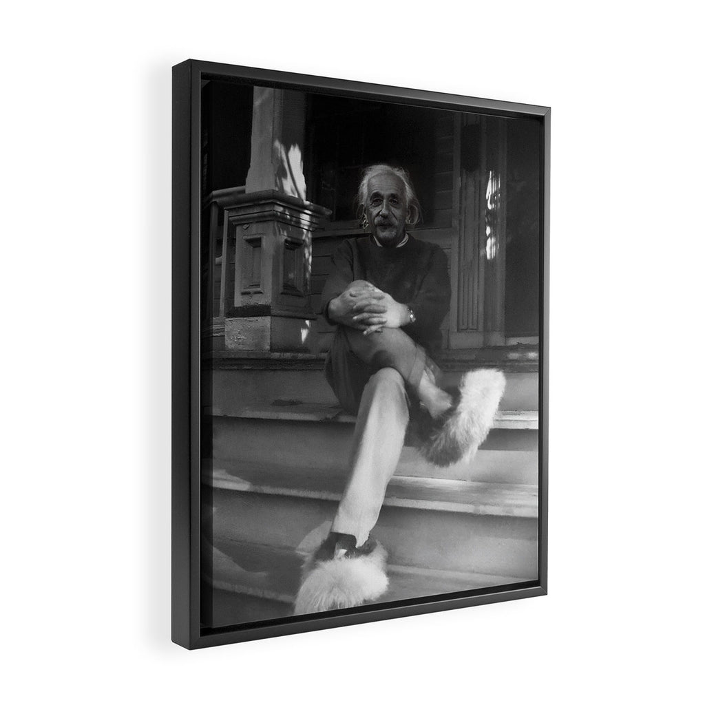 Funny Einstein in Fuzzy Slippers Classic Black and White Satirical Photography - Photographs Framed Canvas Print Gallery Image 2
